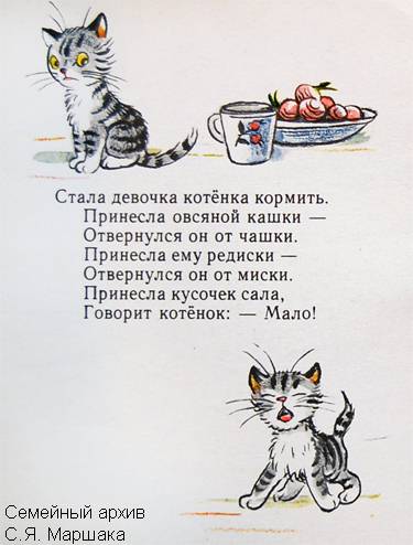������� � ����� �.�. ������ ������ ���������